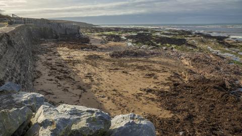 Kilmore Strand beach cove 