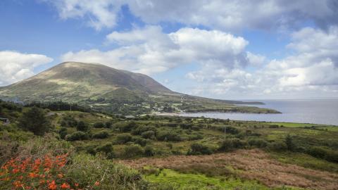 Kells Bay meadow view 