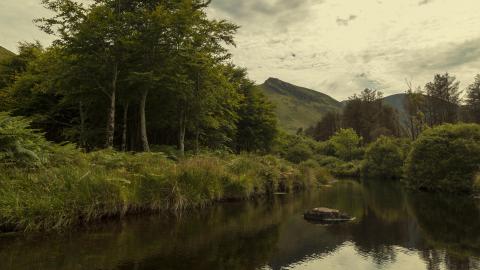 Glanteenassig - River