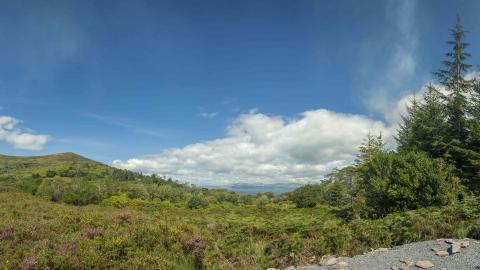 Kells Bay meadow 