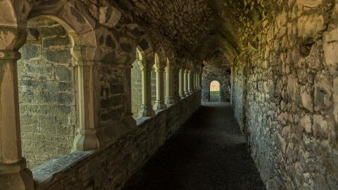 Ardfert Friary 