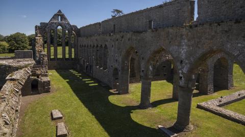 Ardfert Friary 