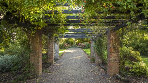 The Meadowlands Hotel  Garden walkway