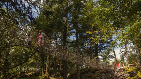 Kells Bay Skywalk1