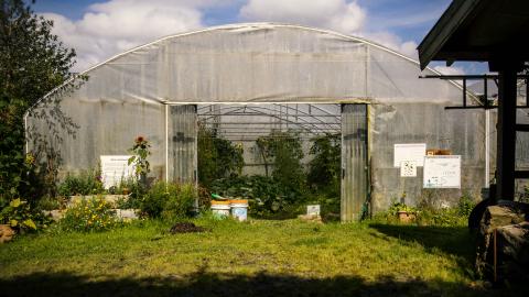 Gortbrack Organic Farm 